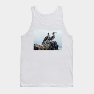 Blue-footed Boobies Tank Top